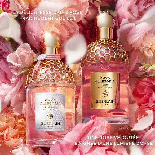 GUERLAIN Aqua Allegoria Harvest - Rosa Rossa - Eau de Toilette GUERLAIN Aqua Allegoria Harvest - Rosa Rossa - Eau de Toilette